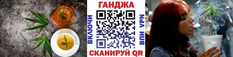 blacksprut как войти  Волгореченск  Canna-Cookies конопля 