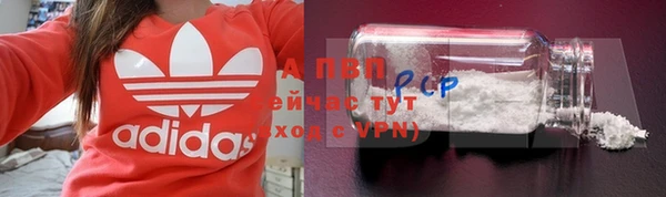 ПСИЛОЦИБИНОВЫЕ ГРИБЫ Бородино