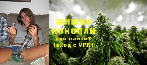 хмурый Богородск