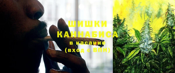 твердый Анива