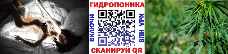 Бошки Шишки ГИДРОПОН  Волгореченск 